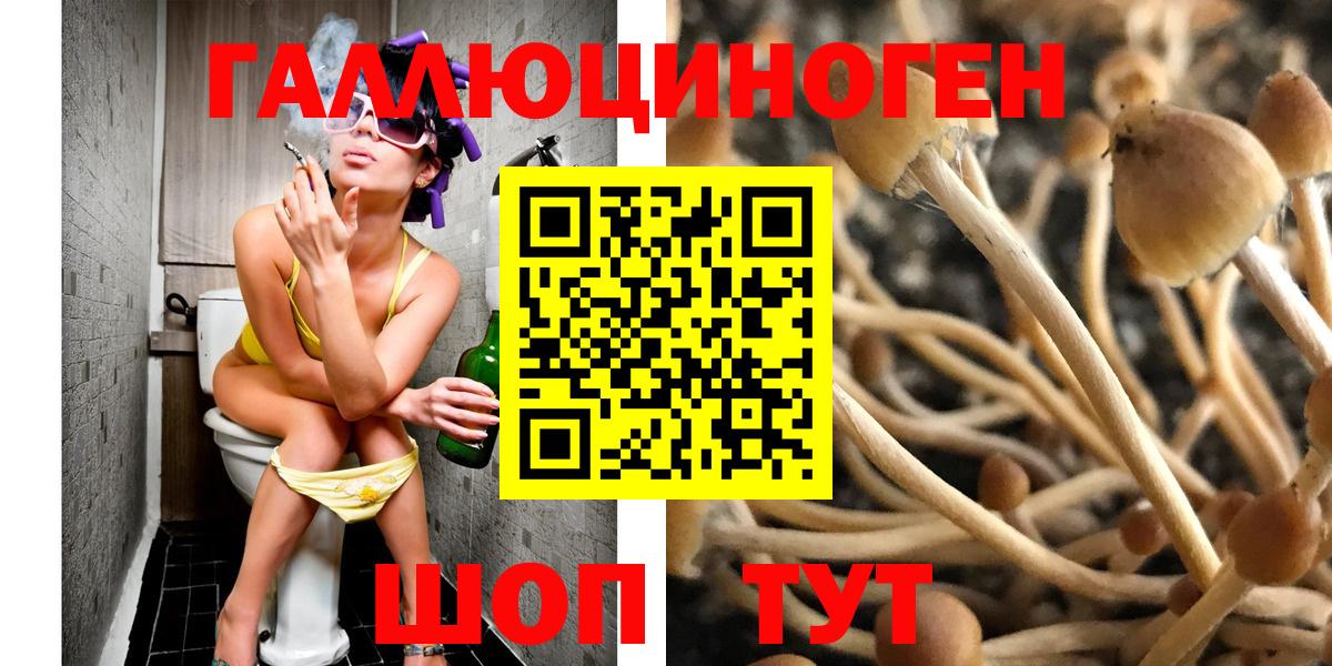 как найти наркотики  Вход с VPN  Белово  Галлюциногенные грибы ЛСД 